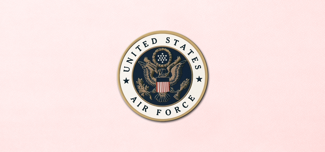 P 541 PK US Air Force Pink Faux